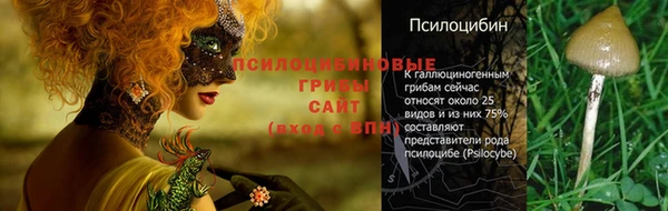стафф Михайловск