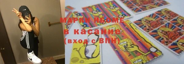 стафф Михайловск
