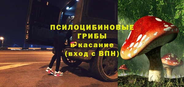 стафф Михайловск